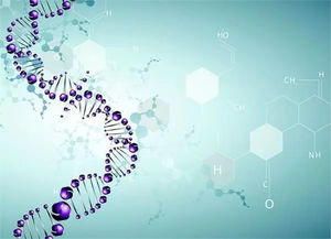 哥大生物碩博學姐全面系統介紹生科,生物技術,生統申請及發展路徑